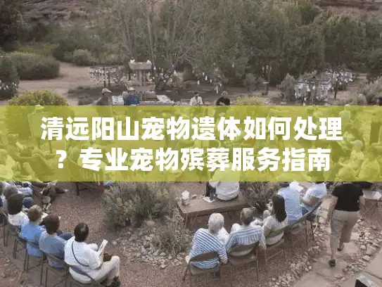 清远阳山宠物遗体如何处理？专业宠物殡葬服务指南