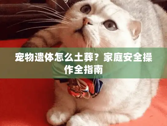 宠物遗体怎么土葬？家庭安全操作全指南