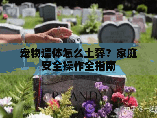 宠物遗体怎么土葬？家庭安全操作全指南