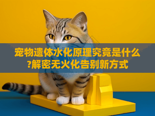 宠物遗体水化原理究竟是什么?解密无火化告别新方式