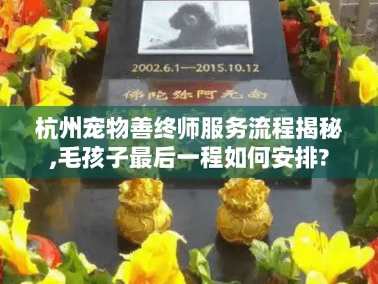 杭州宠物善终师服务流程揭秘,毛孩子最后一程如何安排? 杭州宠物善终师服务流程揭秘,毛孩子最后一程如何安排?