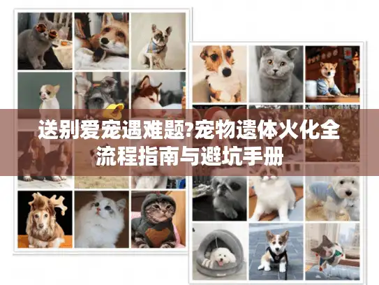 送别爱宠遇难题?宠物遗体火化全流程指南与避坑手册 送别爱宠遇难题?宠物遗体火化全流程指南与避坑手册