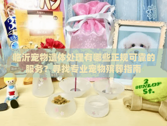 临沂宠物遗体处理有哪些正规可靠的服务？寻找专业宠物殡葬指南