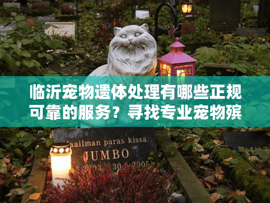 临沂宠物遗体处理有哪些正规可靠的服务？寻找专业宠物殡葬指南