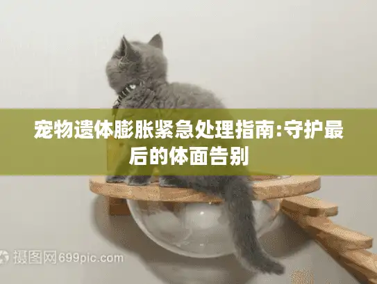 宠物遗体膨胀紧急处理指南:守护最后的体面告别