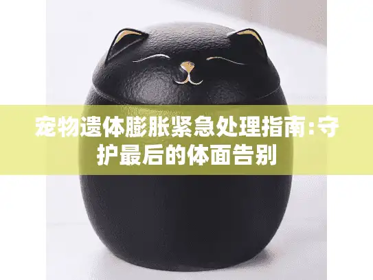 宠物遗体膨胀紧急处理指南:守护最后的体面告别