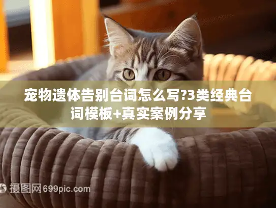 宠物遗体告别台词怎么写?3类经典台词模板+真实案例分享