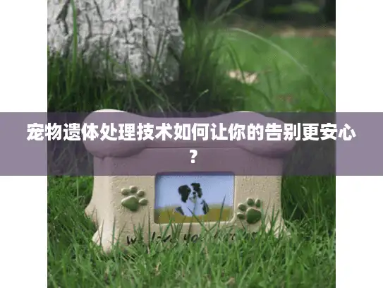 宠物遗体处理技术如何让你的告别更安心？