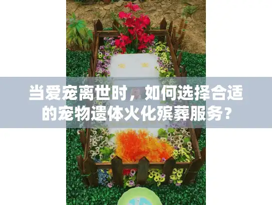 当爱宠离世时,如何选择合适的宠物遗体火化殡葬服务? 当爱宠离世时,如何选择合适的宠物遗体火化殡葬服务?
