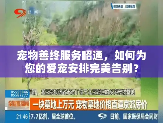 宠物善终服务昭通，如何为您的爱宠安排完美告别？