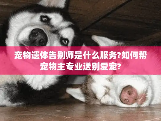 宠物遗体告别师是什么服务?如何帮宠物主专业送别爱宠?