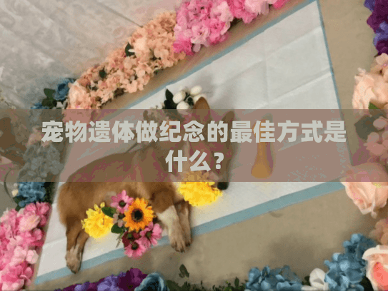 宠物遗体做纪念的最佳方式是什么？