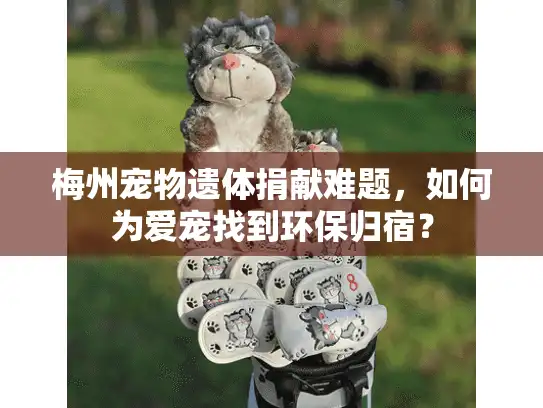 梅州宠物遗体捐献难题，如何为爱宠找到环保归宿？