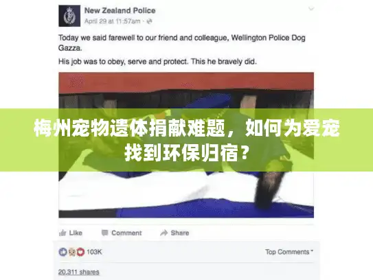 梅州宠物遗体捐献难题，如何为爱宠找到环保归宿？