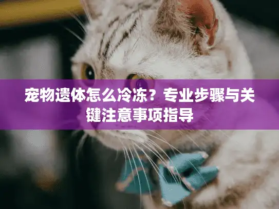 宠物遗体怎么冷冻？专业步骤与关键注意事项指导