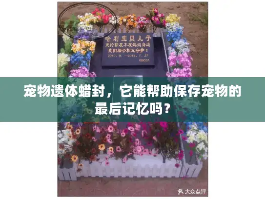 宠物遗体蜡封,它能帮助保存宠物的最后记忆吗? 宠物遗体蜡封,它能帮助保存宠物的最后记忆吗?