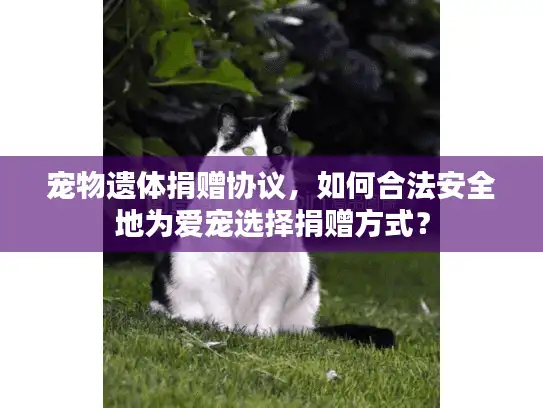 宠物遗体捐赠协议，如何合法安全地为爱宠选择捐赠方式？