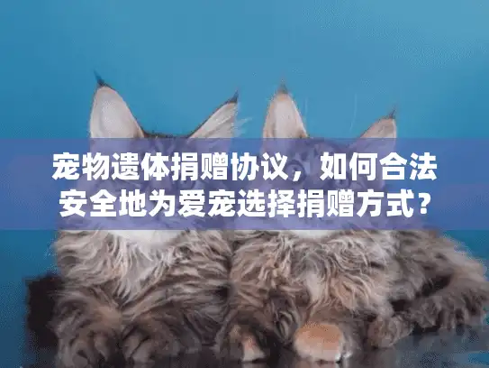 宠物遗体捐赠协议，如何合法安全地为爱宠选择捐赠方式？