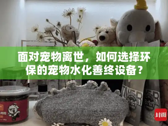 面对宠物离世,如何选择环保的宠物水化善终设备? 面对宠物离世,如何选择环保的宠物水化善终设备?
