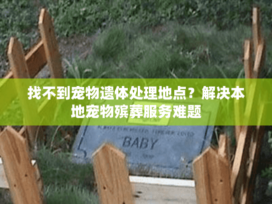找不到宠物遗体处理地点？解决本地宠物殡葬服务难题