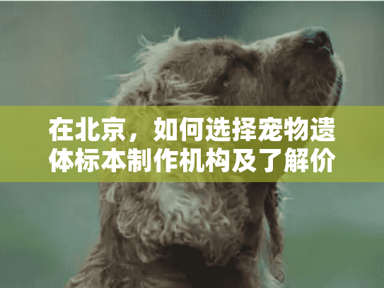 在北京,如何选择宠物遗体标本制作机构及了解价格? 在北京,如何选择宠物遗体标本制作机构及了解价格?