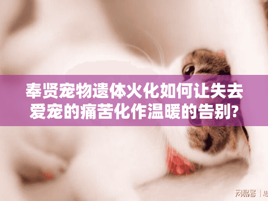 奉贤宠物遗体火化如何让失去爱宠的痛苦化作温暖的告别?