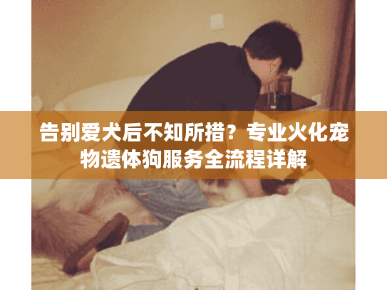 告别爱犬后不知所措？专业火化宠物遗体狗服务全流程详解
