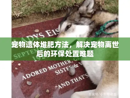 宠物遗体堆肥方法,解决宠物离世后的环保处置难题 宠物遗体堆肥方法,解决宠物离世后的环保处置难题