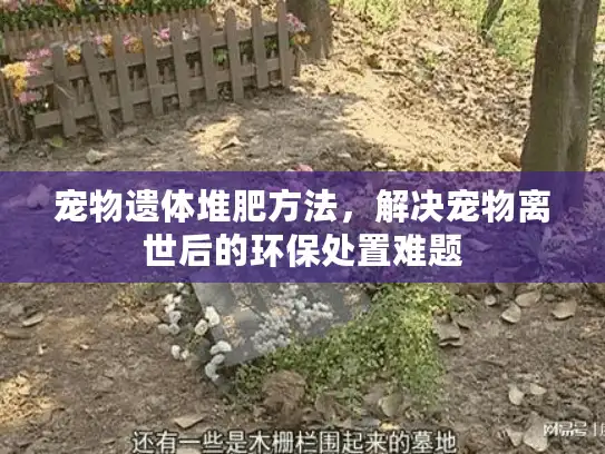 宠物遗体堆肥方法,解决宠物离世后的环保处置难题 宠物遗体堆肥方法,解决宠物离世后的环保处置难题
