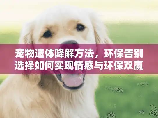 宠物遗体降解方法，环保告别选择如何实现情感与环保双赢？