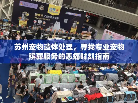 苏州宠物遗体处理，寻找专业宠物殡葬服务的悲痛时刻指南