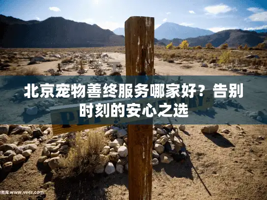 北京宠物善终服务哪家好?告别时刻的安心之选 北京宠物善终服务哪家好?告别时刻的安心之选
