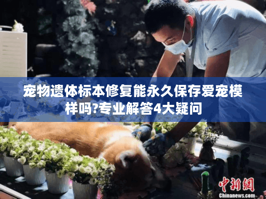 宠物遗体标本修复能永久保存爱宠模样吗?专业解答4大疑问
