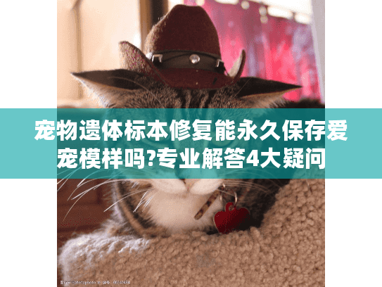 宠物遗体标本修复能永久保存爱宠模样吗?专业解答4大疑问