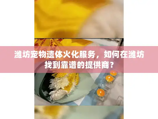 潍坊宠物遗体火化服务，如何在潍坊找到靠谱的提供商？