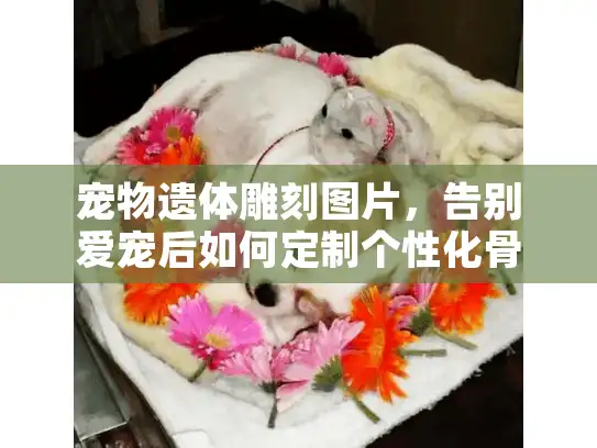 宠物遗体雕刻图片，告别爱宠后如何定制个性化骨灰盒雕刻以慰藉心灵