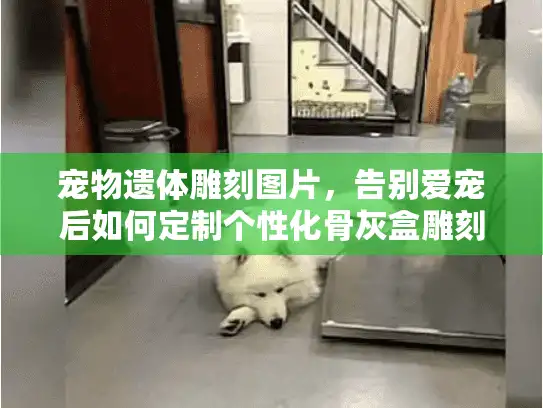 宠物遗体雕刻图片，告别爱宠后如何定制个性化骨灰盒雕刻以慰藉心灵