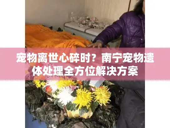 宠物离世心碎时？南宁宠物遗体处理全方位解决方案