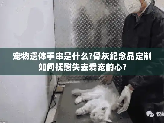 宠物遗体手串是什么?骨灰纪念品定制如何抚慰失去爱宠的心?