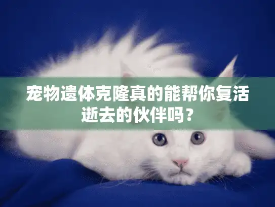 宠物遗体克隆真的能帮你复活逝去的伙伴吗？