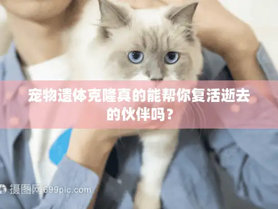 宠物遗体克隆真的能帮你复活逝去的伙伴吗？