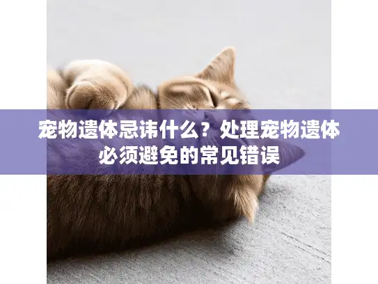 宠物遗体忌讳什么？处理宠物遗体必须避免的常见错误