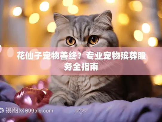 花仙子宠物善终？专业宠物殡葬服务全指南