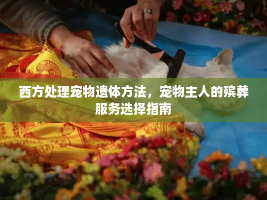 西方处理宠物遗体方法,宠物主人的殡葬服务选择指南 西方处理宠物遗体方法,宠物主人的殡葬服务选择指南