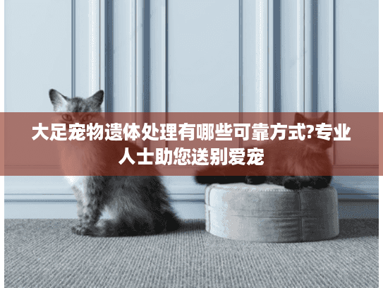 大足宠物遗体处理有哪些可靠方式?专业人士助您送别爱宠 大足宠物遗体处理有哪些可靠方式?专业人士助您送别爱宠