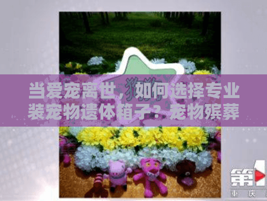 当爱宠离世，如何选择专业装宠物遗体箱子？宠物殡葬服务关键一步解析