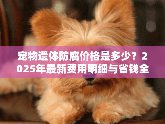 宠物遗体防腐价格是多少？2025年最新费用明细与省钱全解析