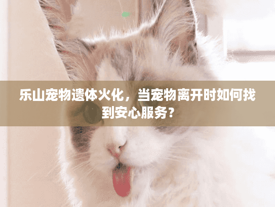 乐山宠物遗体火化，当宠物离开时如何找到安心服务？