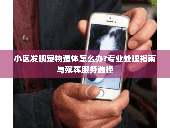 小区发现宠物遗体怎么办?专业处理指南与殡葬服务选择 小区发现宠物遗体怎么办?专业处理指南与殡葬服务选择