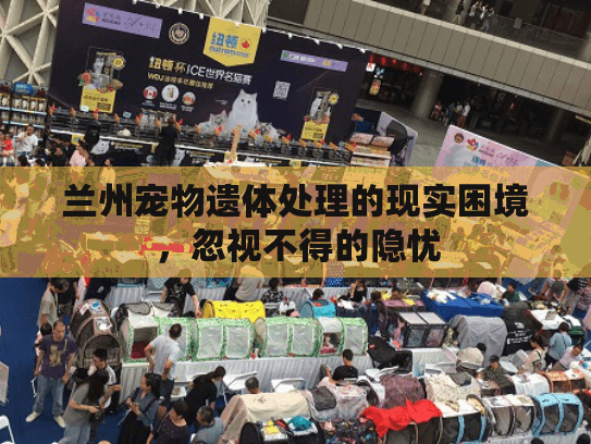 兰州宠物遗体处理的现实困境，忽视不得的隐忧